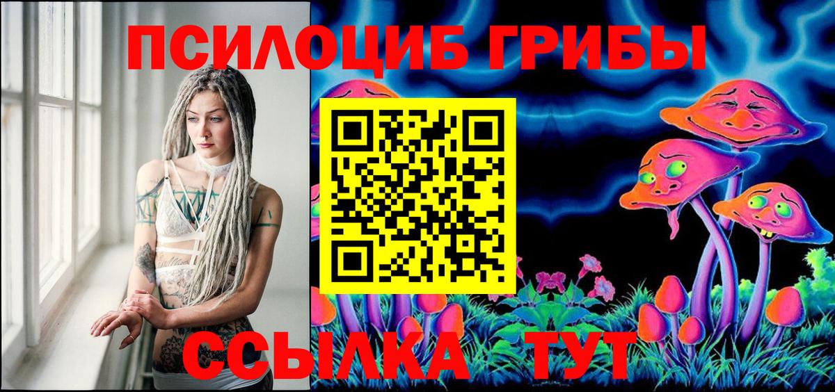 Псилоцибиновые грибы MAGIC MUSHROOMS  Вход с VPN  Горячий Ключ  Галлюциногенные грибы Psilocybe 